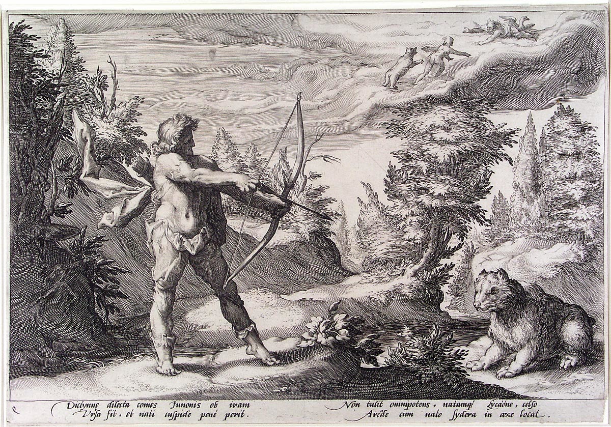 arcas y calisto